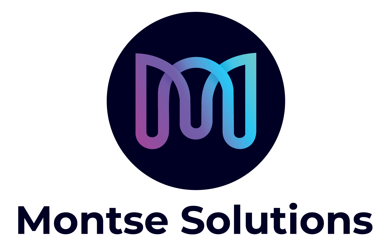 montse solutions n 01